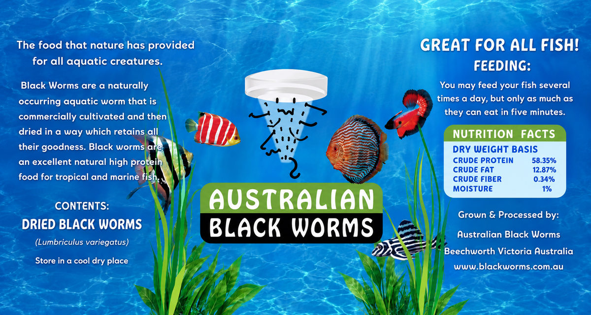 Blackworms