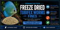 Premium Freeze Dried Tubifex Worm Fines