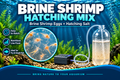 Brine Shrimp Eggs & Salt Mix